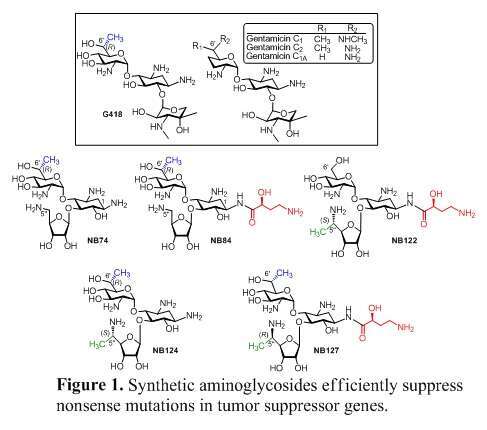 Figure1